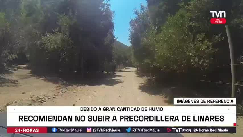 Autoridades recomiendan no subir a precordillera de Linares