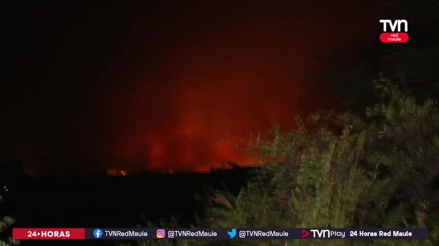 Provincia de Cauquenes enfrentó dos incendios forestales