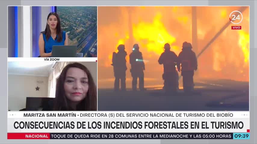 Sernatur por incendios: En la región del Biobío hemos tenido afectación a 15 empresas de turismo