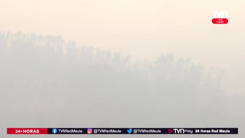 Región del Maule amaneció cubierta de humo
