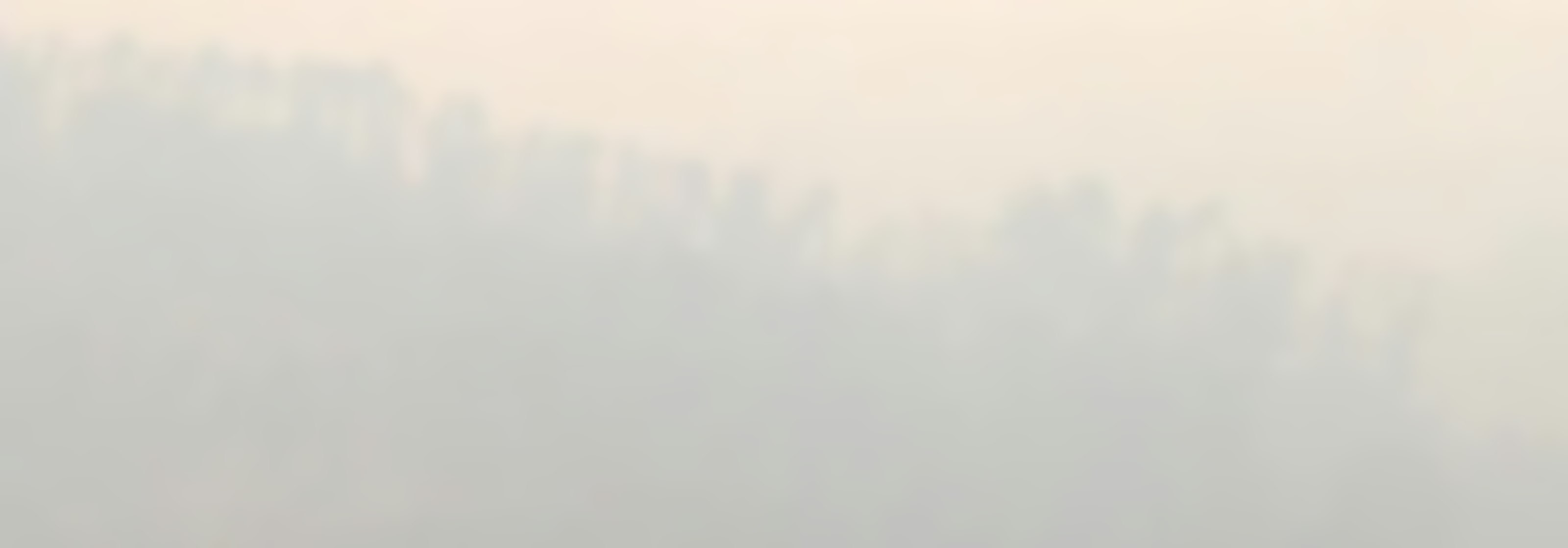 Región del Maule amaneció cubierta de humo