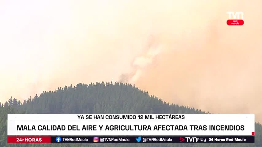 Incendios afectan cultivos y calidad del aire