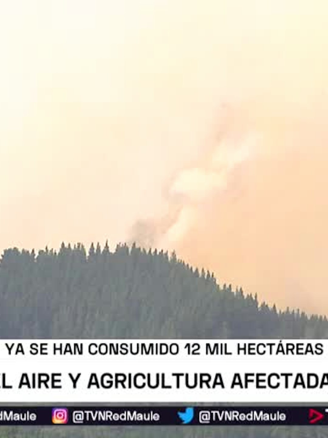 Incendios afectan cultivos y calidad del aire