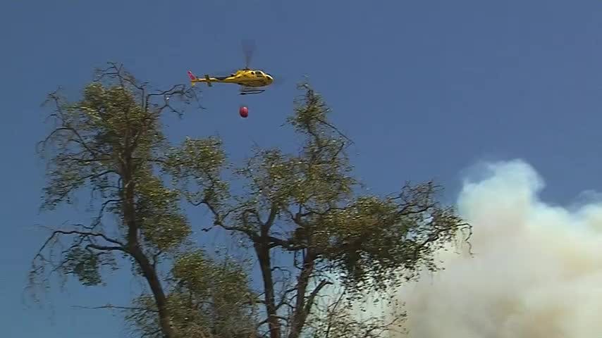 Incendios forestales han consumido más de 12 mil hectáreas en la zona.