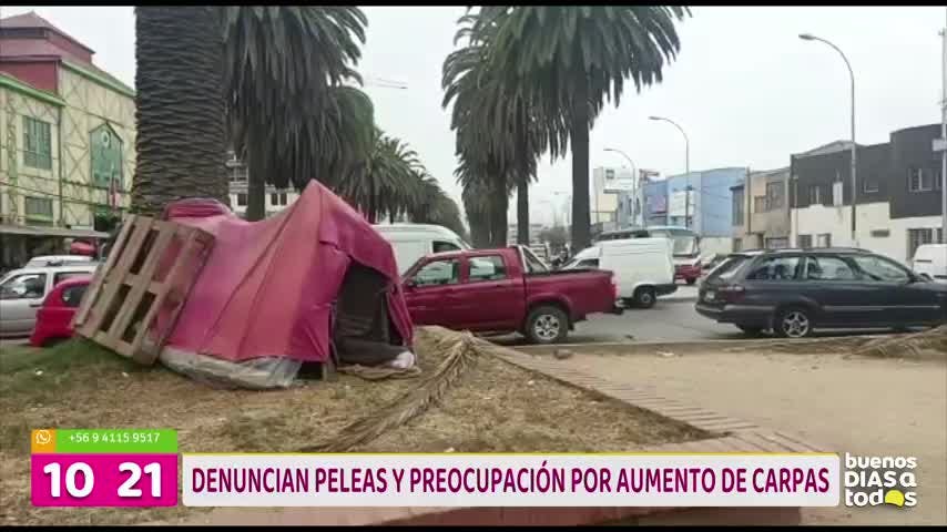 preocupación por aumento de carpas en Valparaíso