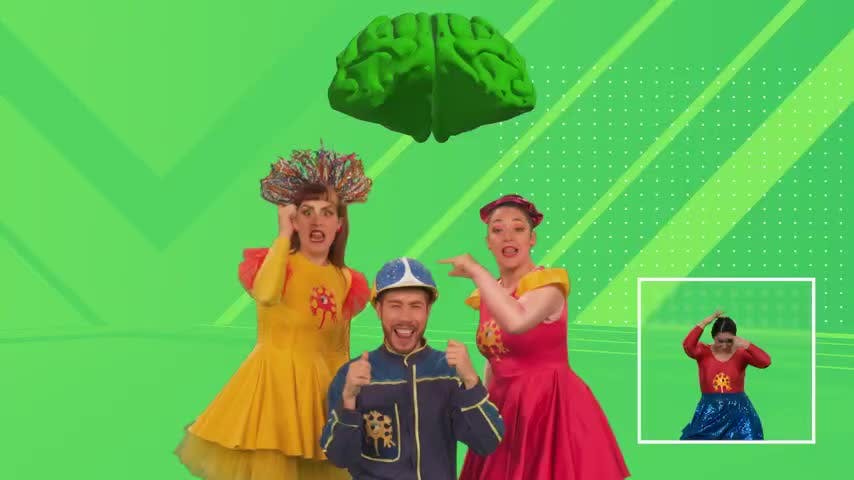Despertando las Neuronas en NTV: Las partes del cerebro