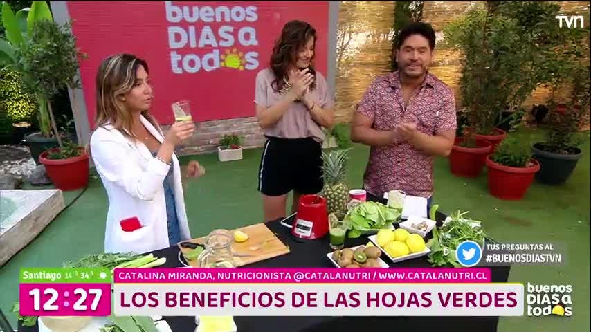 El poder de las hojas verdes