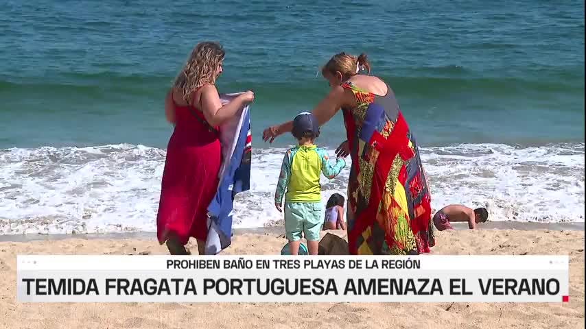 Cierran playa Acapulco de Viña del Mar por presencia de fragata portuguesa 