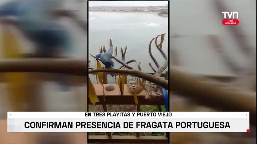 Confirman presencia de la fragata portuguesa en Atacama