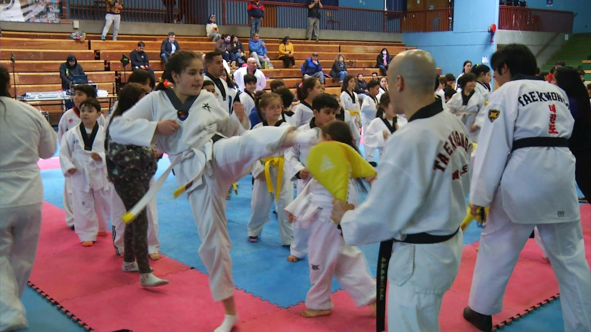 Fundación de deportes Punta Arenas
