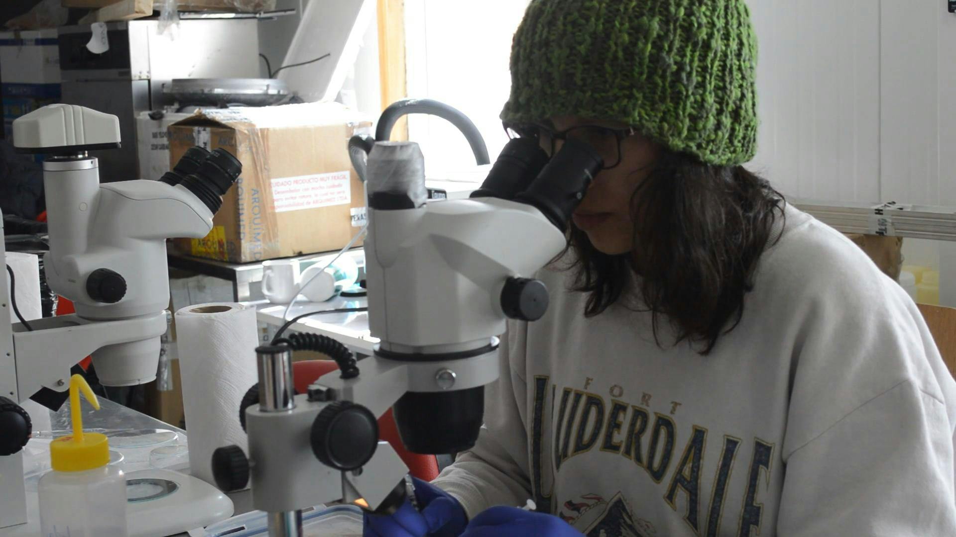 Un 30% de las investigadoras son mujeres en Magallanes