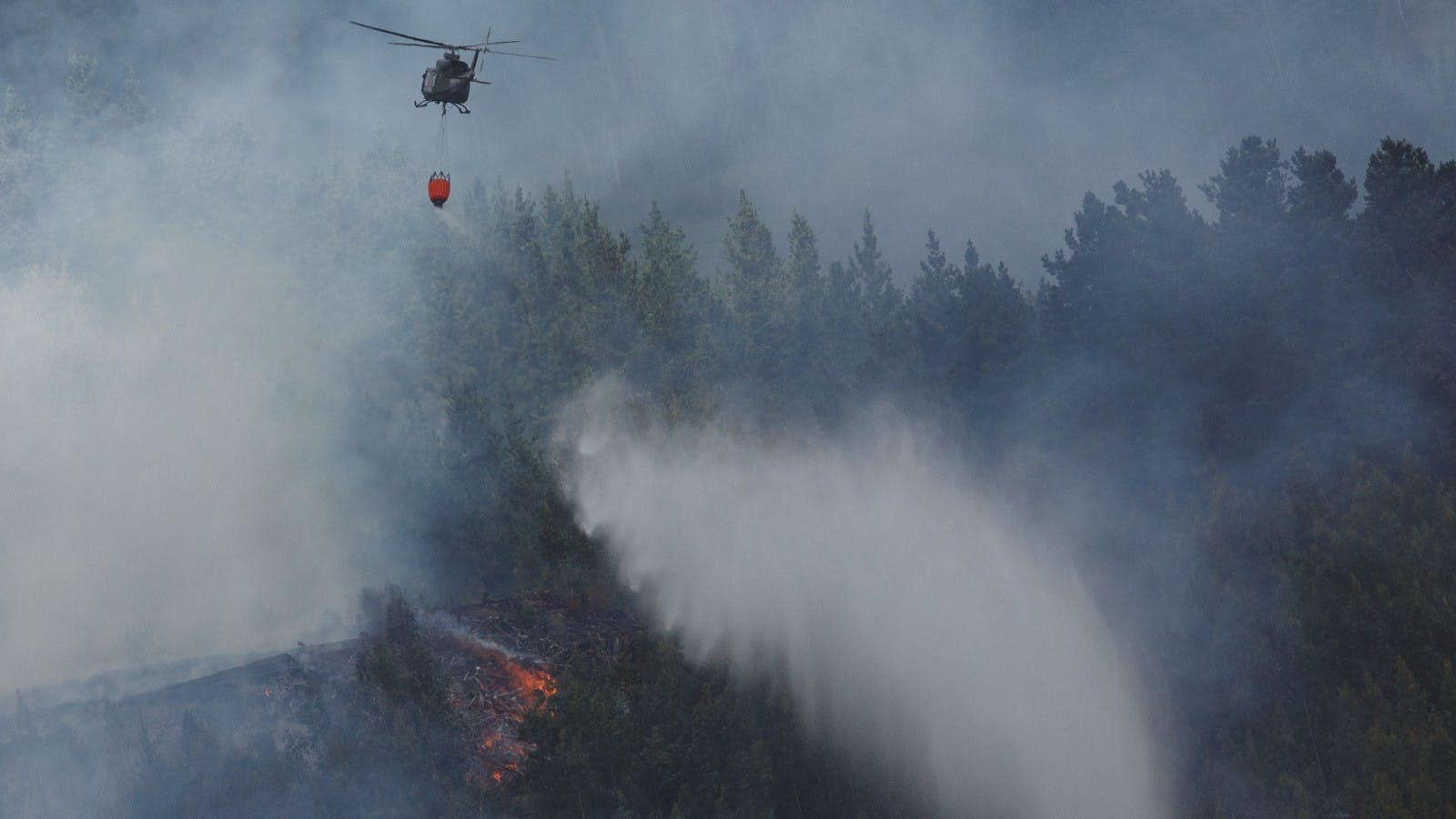 Fedefruta analiza impacto de los incendios forestales en producción frutícola