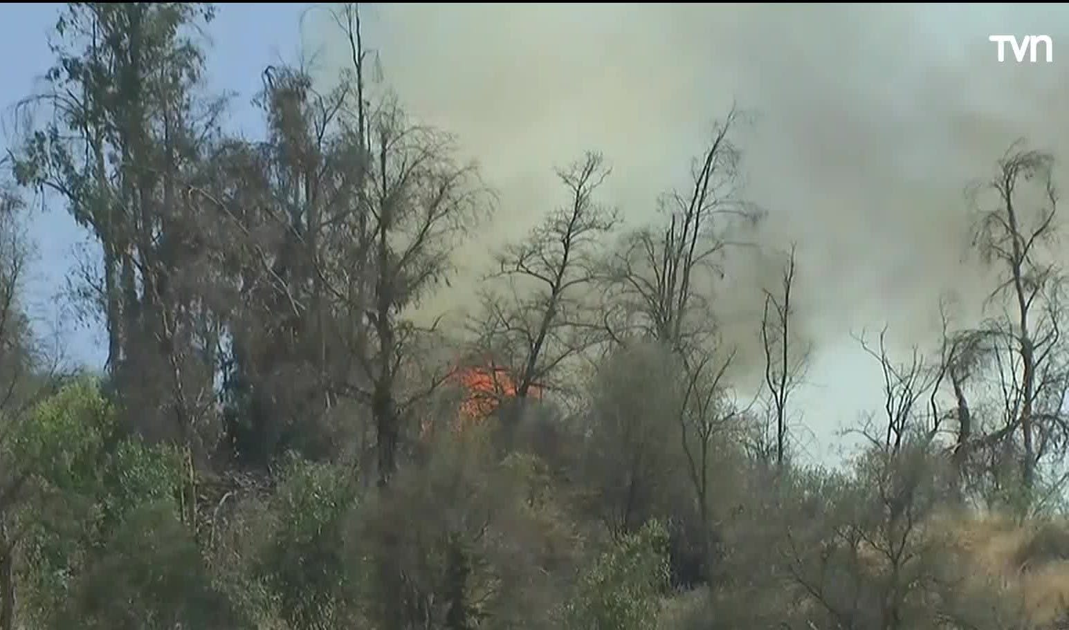 Incendio en Cerro San Cristóbal