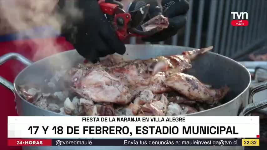 Panoramas - martes 14 de febrero 2023 | TVNRedMaule