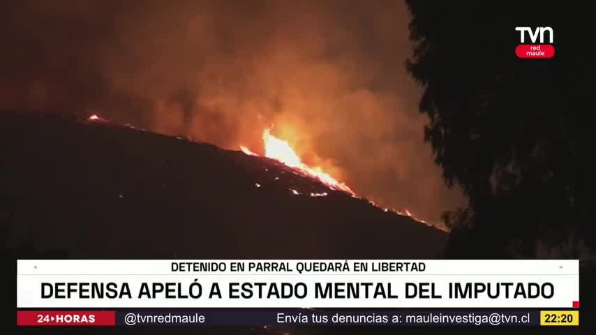 Revisan medida cautelar de imputado por incendio forestal