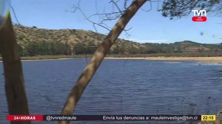 Capa verde cubre gran parte del Lago Vichuquén