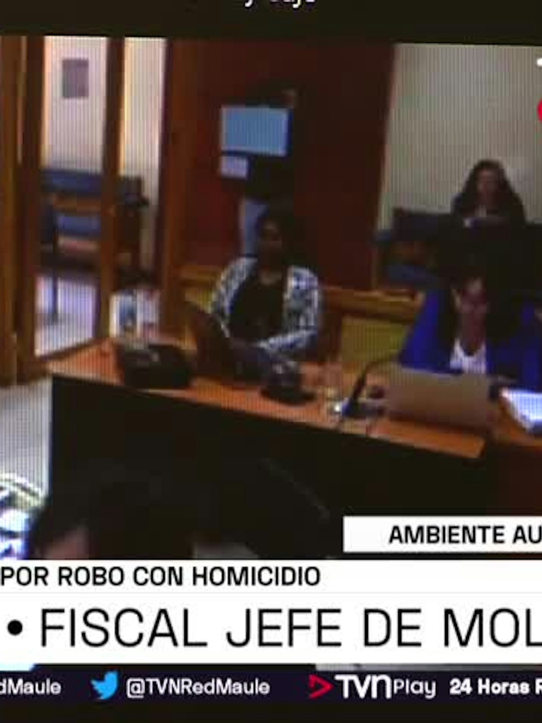 Imputado por crimen de joven extranjera en Molina, quedó en prisión preventiva