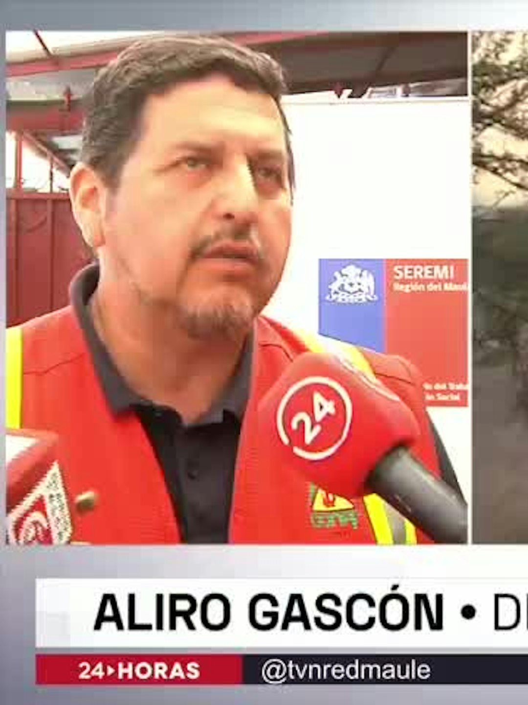 591 incendios forestales esta temporada