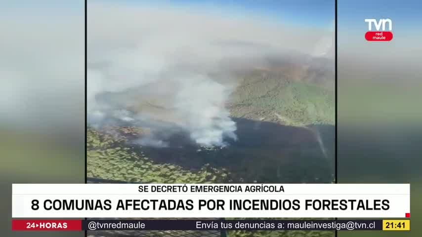 Sector agrícola afectado por IF espera reactivación agrícola 