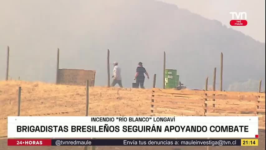36 brigadistas brasileños siguen atacando incendio en Longaví. Policía Italiana coopera en investigación