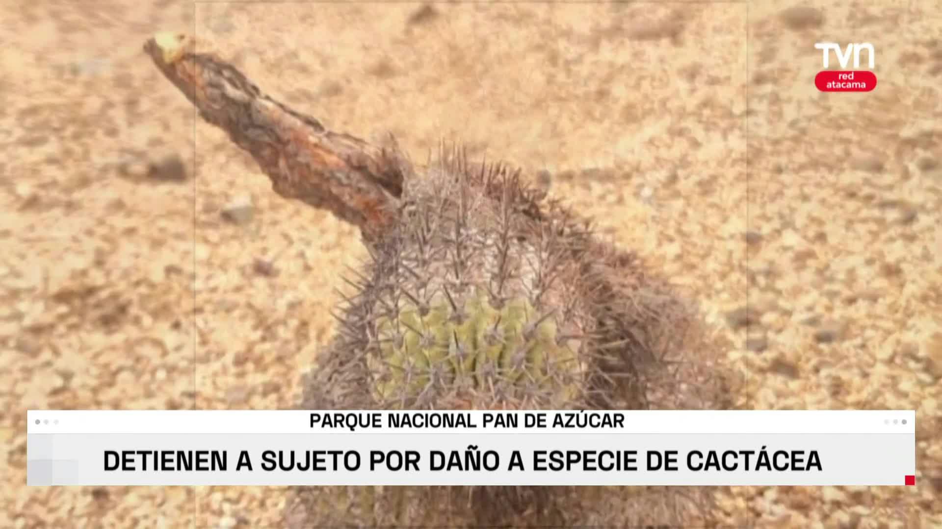 Especies protegidas