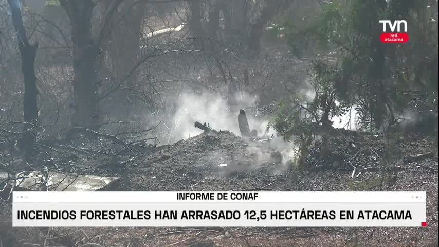 Incendios en Atacama