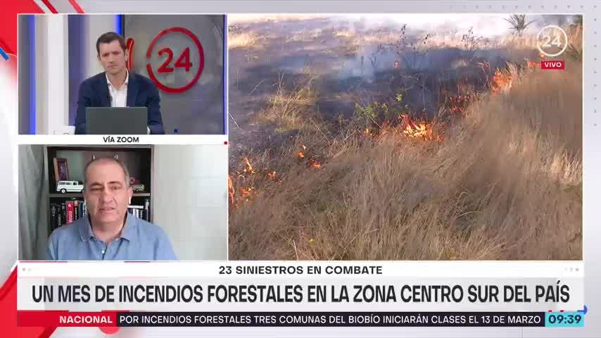Un mes de incendios forestales en la zona centro-sur del país