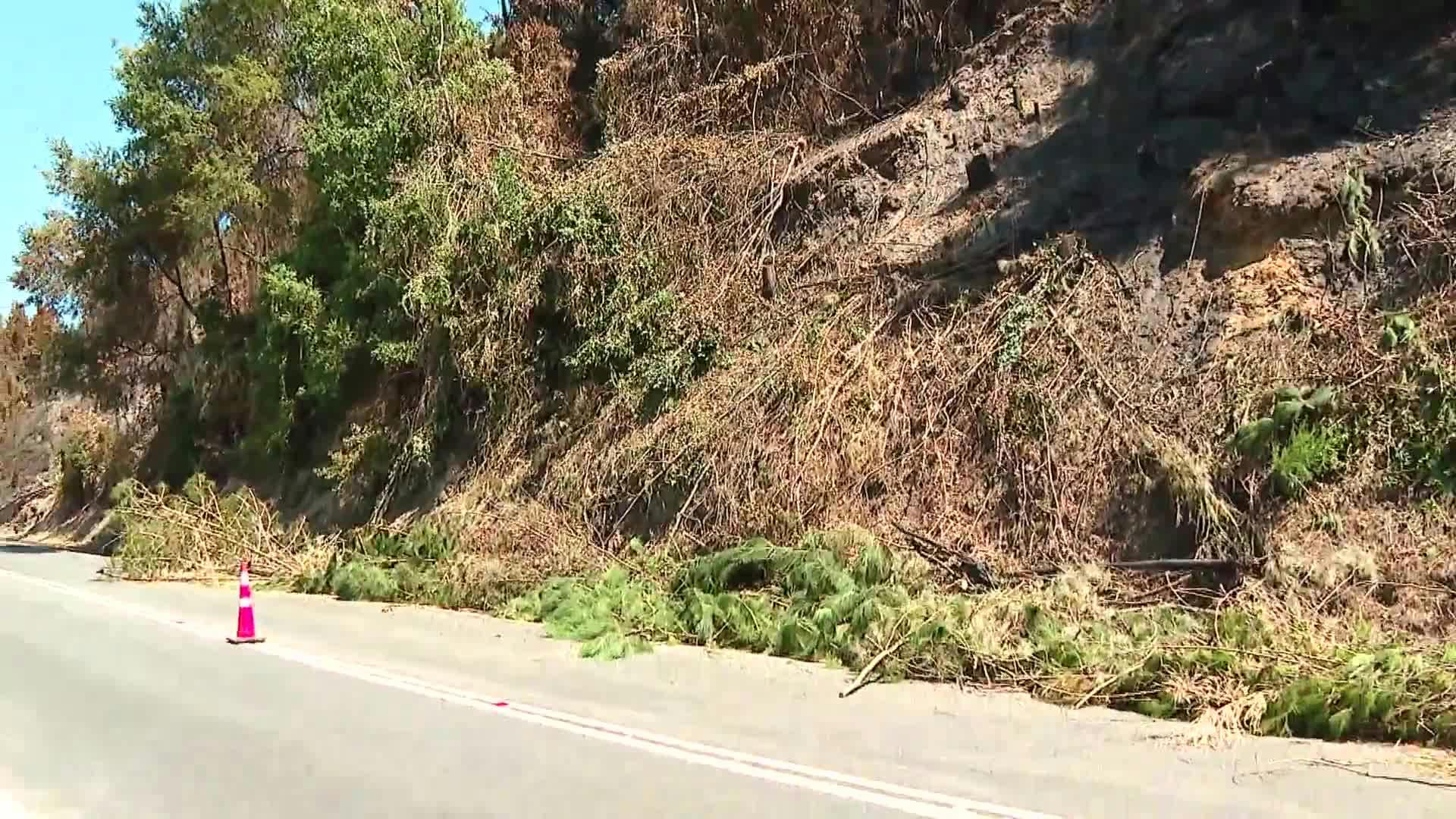 Incendio Santa Ana en Coronel se encuentra contenido