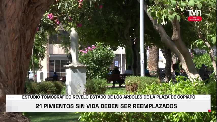 Pimientos en problemas
