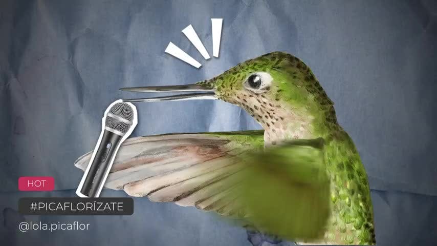Pajaritos Capítulo 3:  La historia de Lola