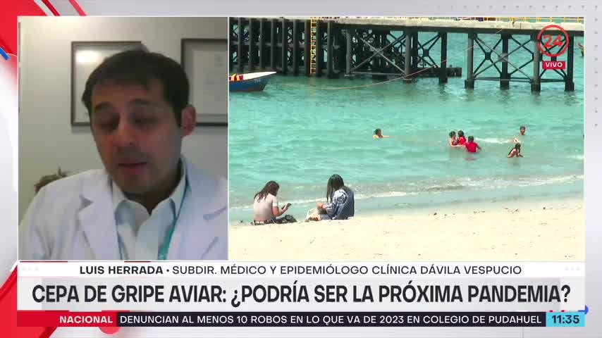Experto por gripe aviar: El temor es que la enfermedad viral tenga un salto hacia el humano
