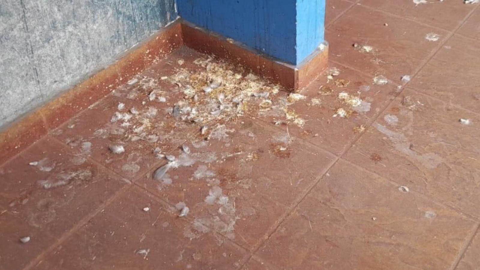 Concejales y profesores de Antofagasta exigen limpieza de establecimientos educacionales