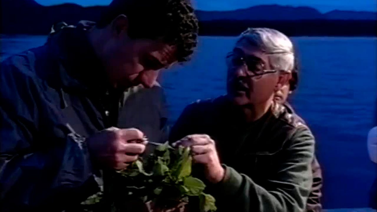 La interesante papa chilota e invenciones de Chuquicamata | Enlaces - T2E8