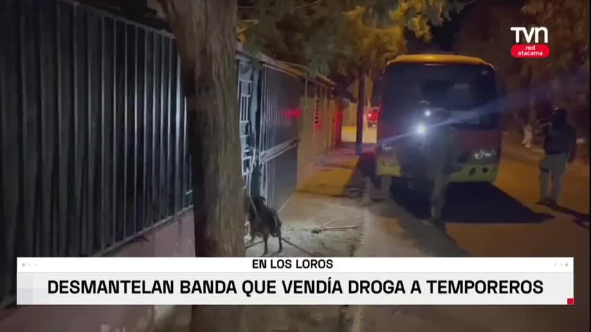 VENDÍAN DROGA A TEMPOREROS