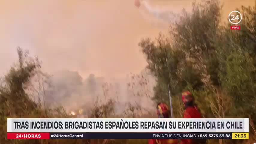 Tras incendios: brigadistas españoles repasan su experiencia en Chile