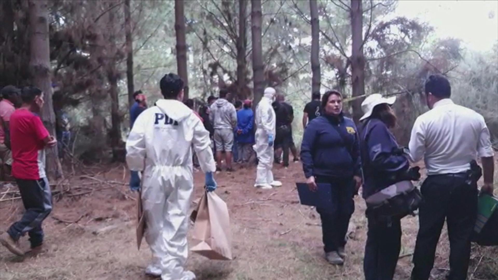 Dos hombres fueron encontrados muertos al interior de predio forestal en Los Álamos 