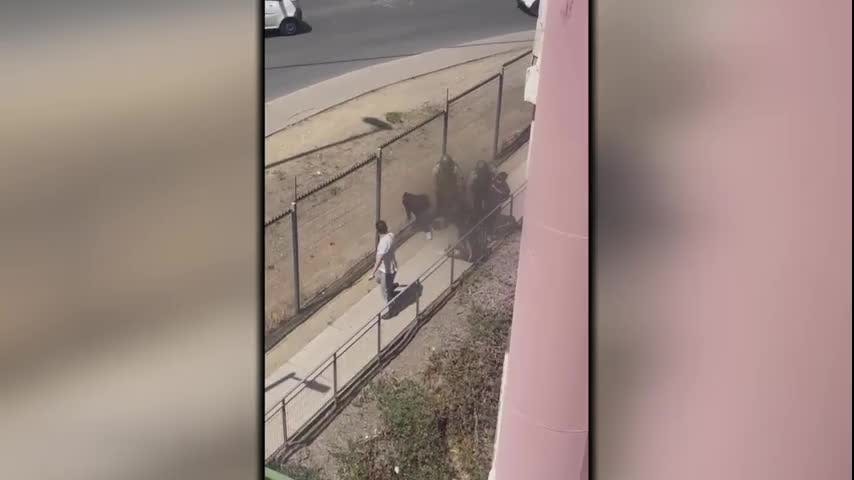 Brutal golpiza sufre sujeto autor de robo en Viña del Mar