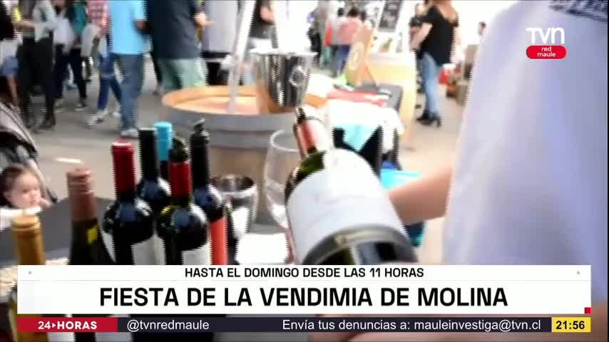 Panoramas - Jueves 09 de marzo 2023 | TVNRedMaule