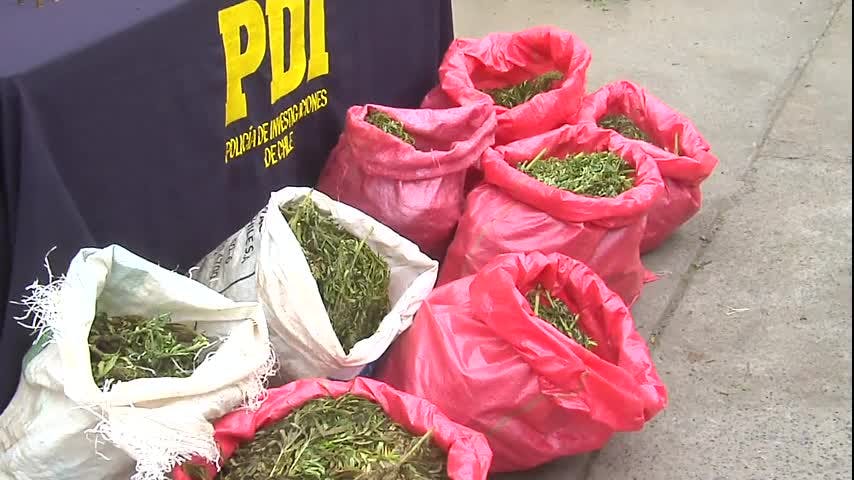 Mayor operativo antidrogas deja tres detenidos