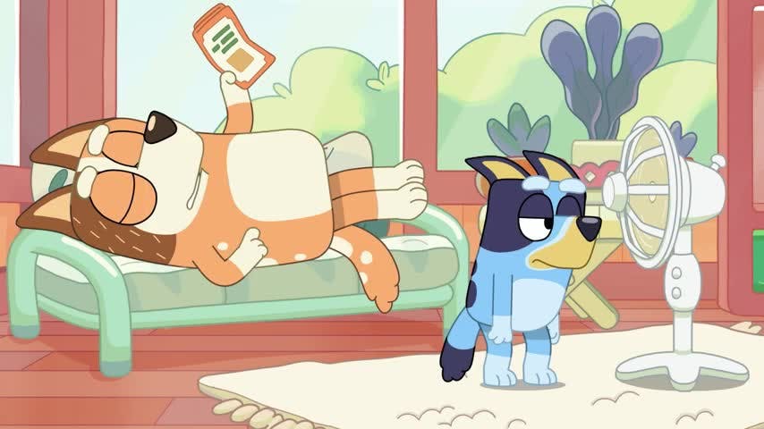 La piscina | Bluey - T1E22