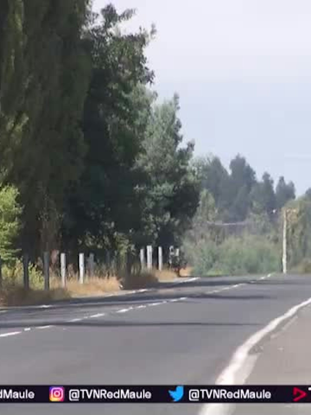Medio Villa Alegre no tiene acceso al transporte público