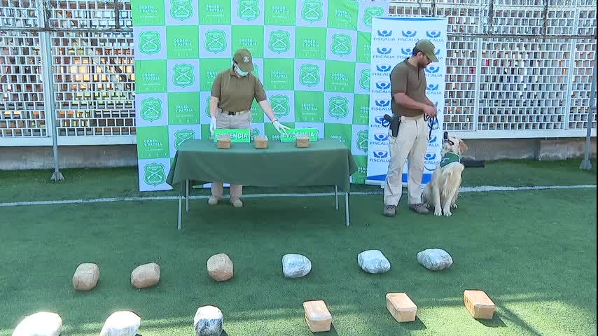 Realizan dos millonarios decomisos de droga en la región