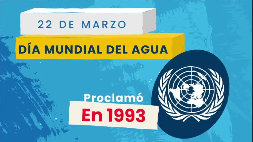 En NTV celebramos el Día Mundial del Agua
