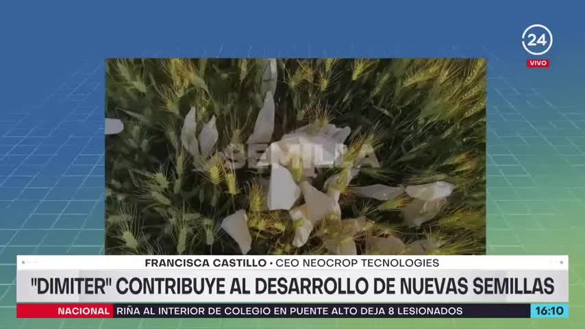 Dimiter contribuye al desarrollo de nuevas semillas: “Puede llevar soluciones a la agricultura en tiempo récord”