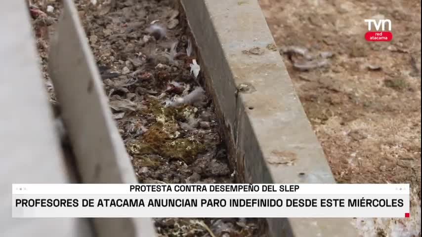 Colegio de Profesores anuncia paro indefinido