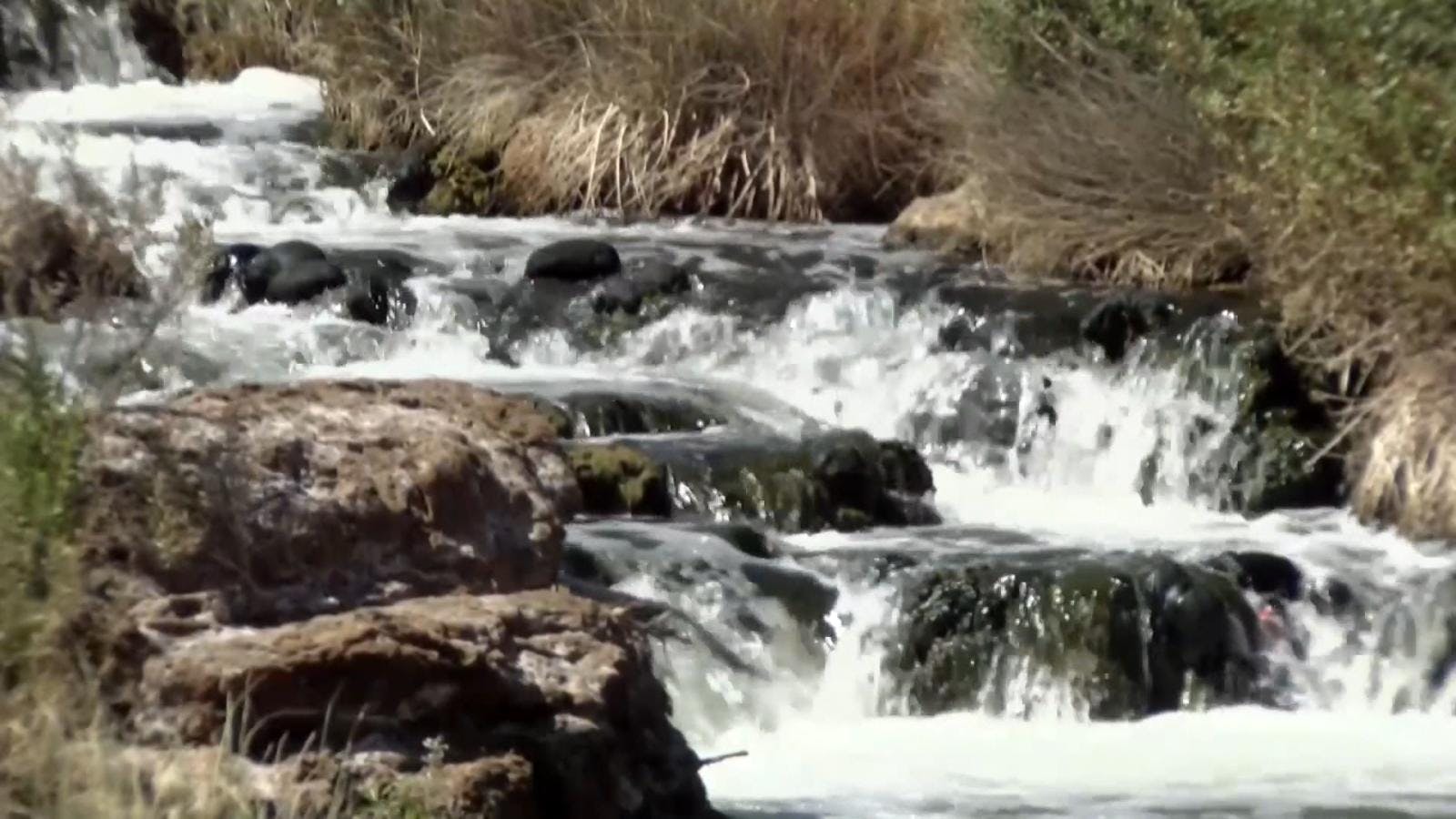 Conmemoran el día mundial del agua