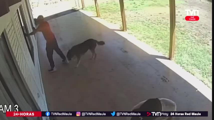 Preocupación por reitarados robos a viviendas en Yerbas Buenas
