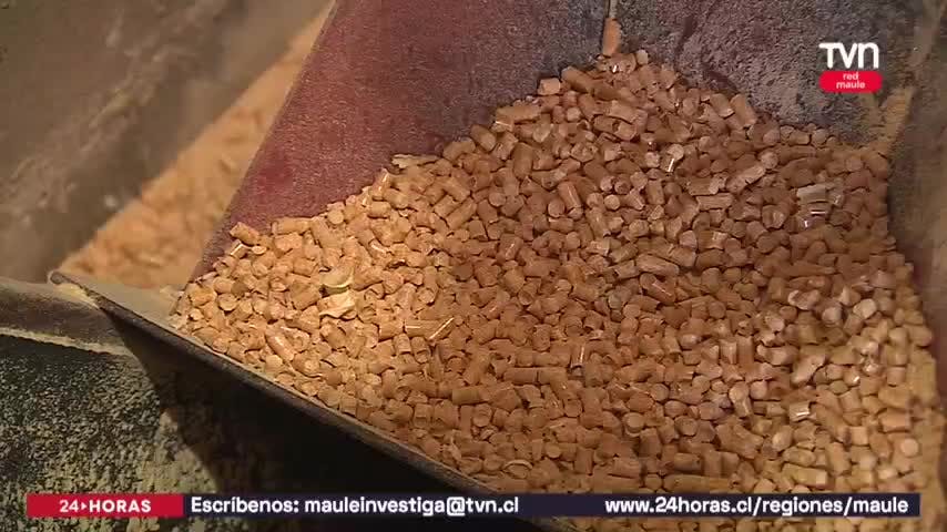 Llaman a utilizar estufas a pellet