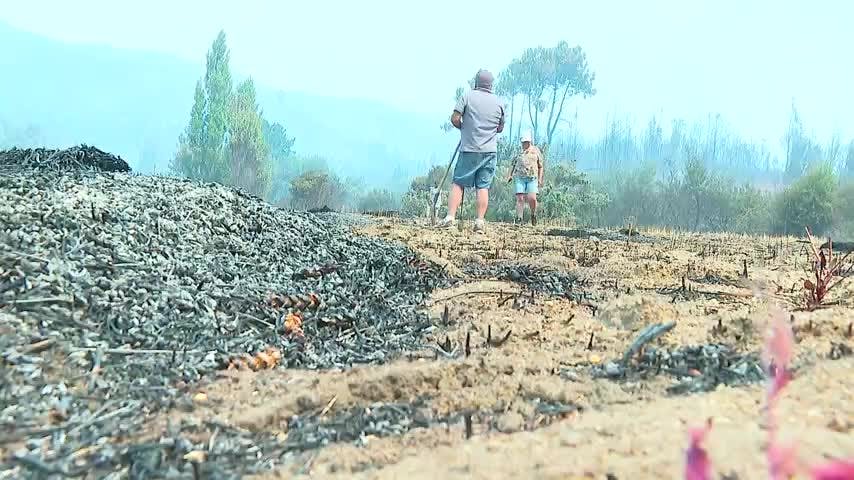 Detallan apoyo estatal para campesinos afectados por incendios