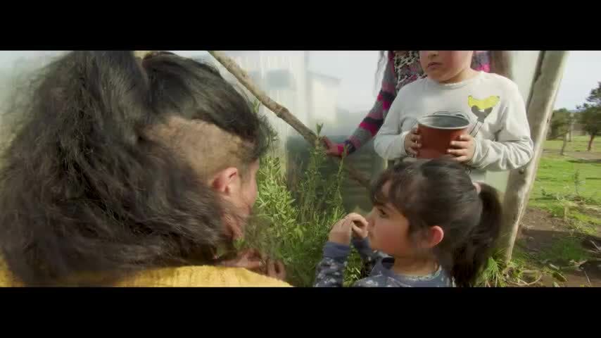 La Isla Grande de Flo | Capítulo 7: Agroecología